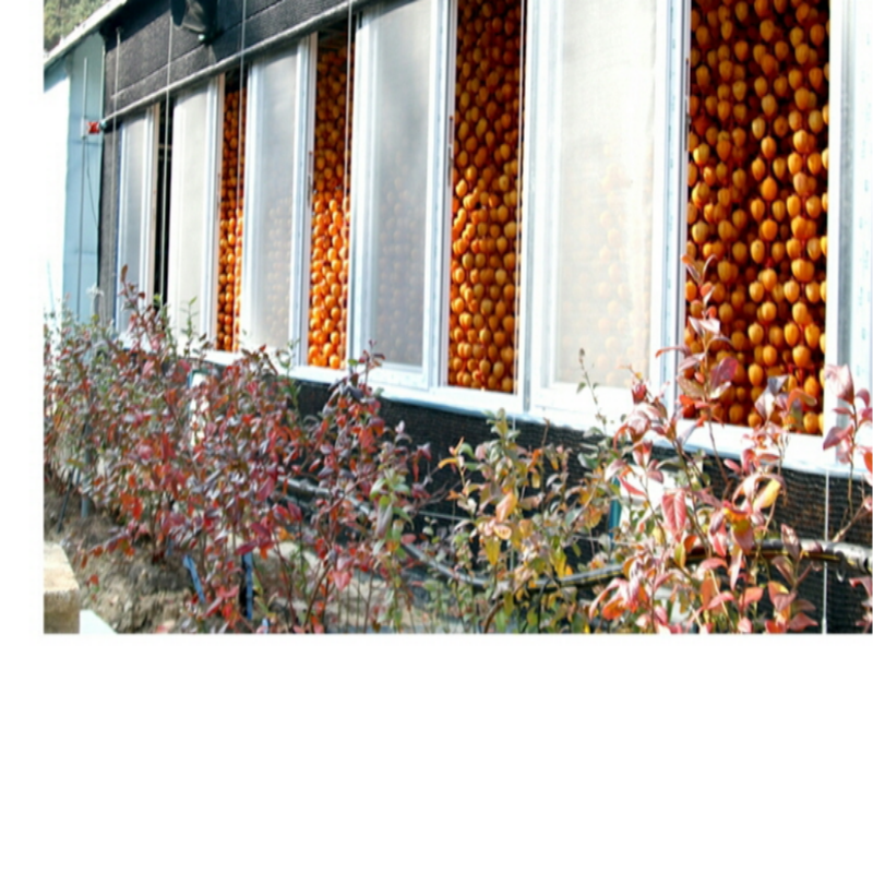 우리들농원,[우리들농원]강릉곶감 건시 한지1호(특대2.7kg/36~42개 말랑한곶감)