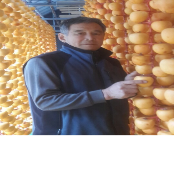 우리들농원,[우리들농원]신사임당곶감2호 (총중량1.5kg 개당 45g이상 30개,말랑한 건시곶감)