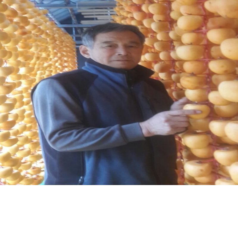 우리들농원,[우리들농원]신사임당곶감2호 (총중량1.5kg 개당 45g이상 30개,말랑한 건시곶감)