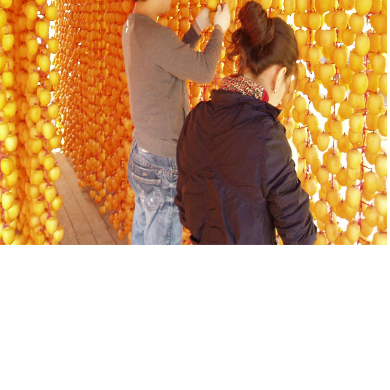 우리들농원,[우리들농원]신사임당곶감2호 (총중량1.5kg 개당 45g이상 30개,말랑한 건시곶감)