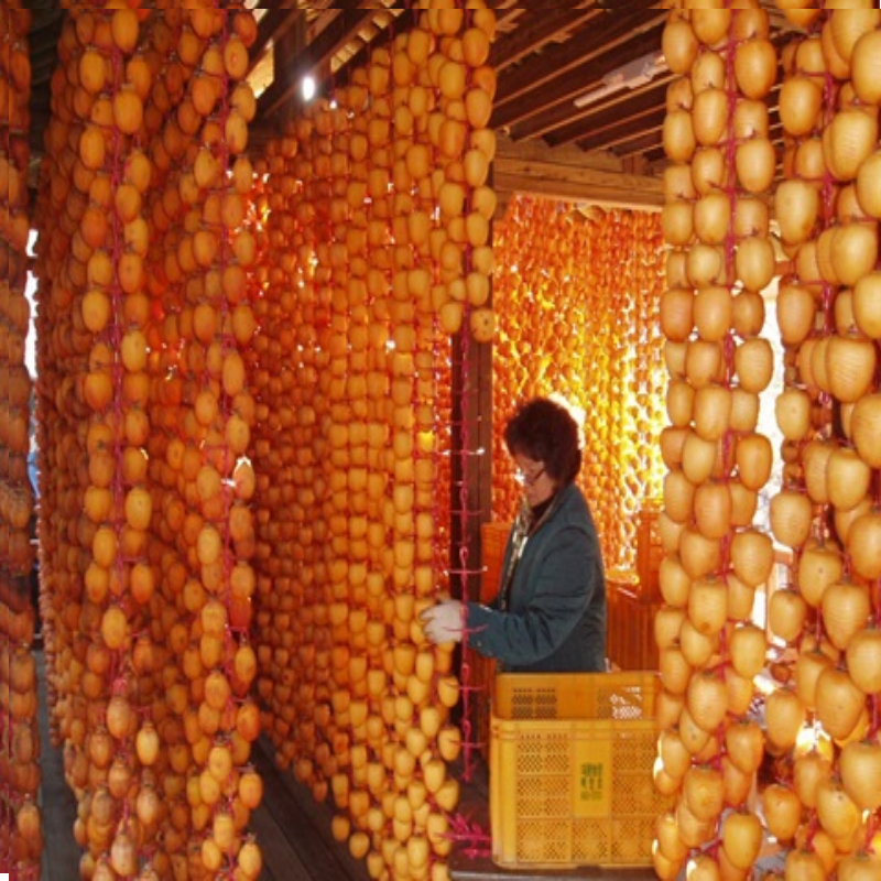 우리들농원,[우리들농원]신사임당곶감3호 (총중량0.8kg 개당 35g이상 20개,말랑한 건시곶감)