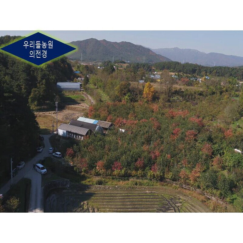 우리들농원,[우리들농원]강릉곶감 건시 간식용1호 곶감 (총중량2kg 25g70개,30g60개말랑한곶감 한입에쏙)