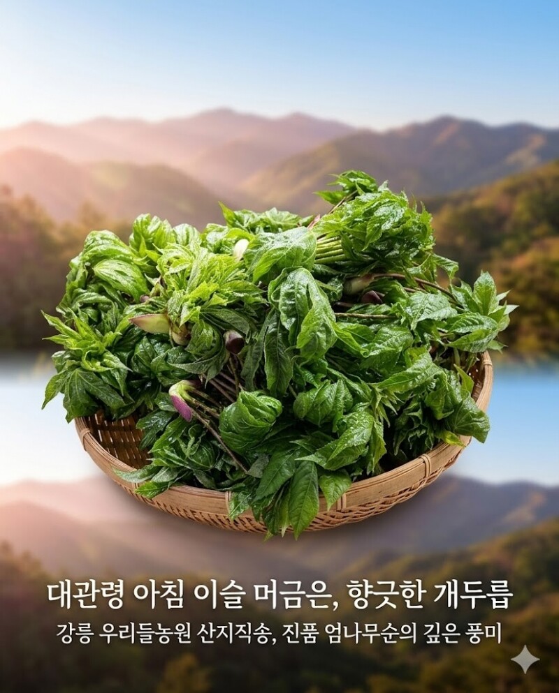 우리들농원,강원도 산두릅 강릉 개두릅 엄나무순 1kg 산지직송 향나물 두릅 산나물 제철 봄나물 택배