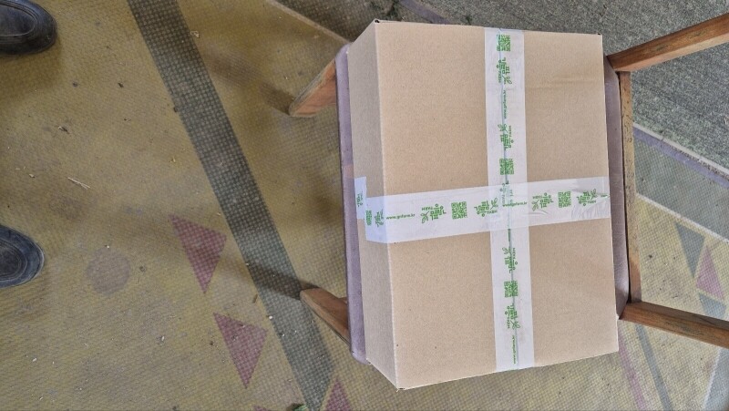 우리들농원,강원도 산두릅 강릉 개두릅 엄나무순 1kg 산지직송 향나물 두릅 산나물 제철 봄나물 택배